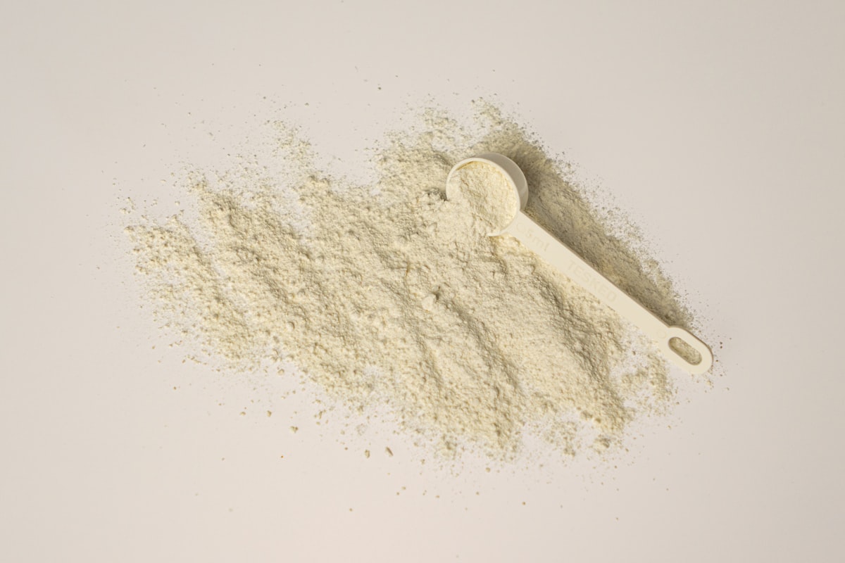 Plant-based protein powder options